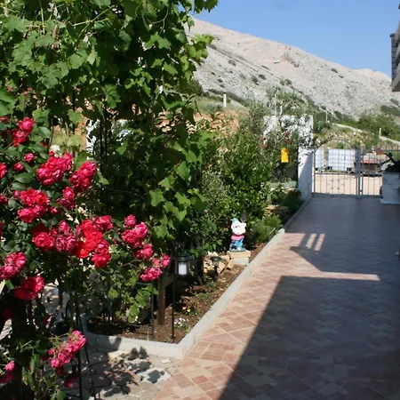 With Parking Space Bosana, Pag - 6460 *