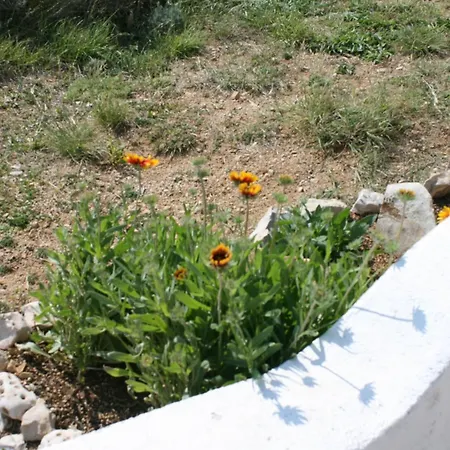 With Parking Space Bosana, Pag - 6460 Lejlighed